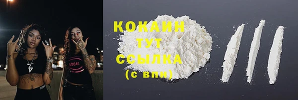 mix Бородино