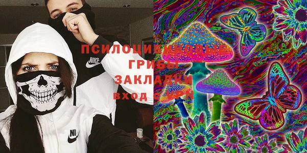 apvp Бронницы