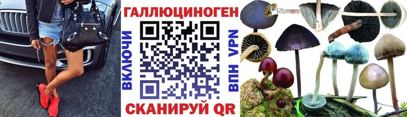 Купить закладки  Арамиль  Псилоцибиновые грибы Magic Shrooms 